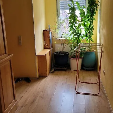 Dom wakacyjny Selzen *