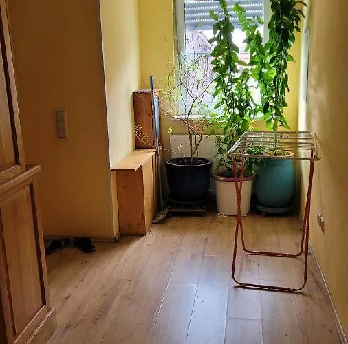 بيت للعطل Selzen *